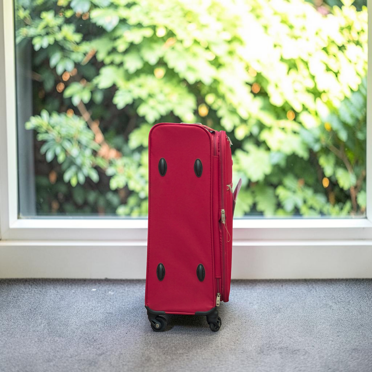 Vip Softside | Basil - 4W