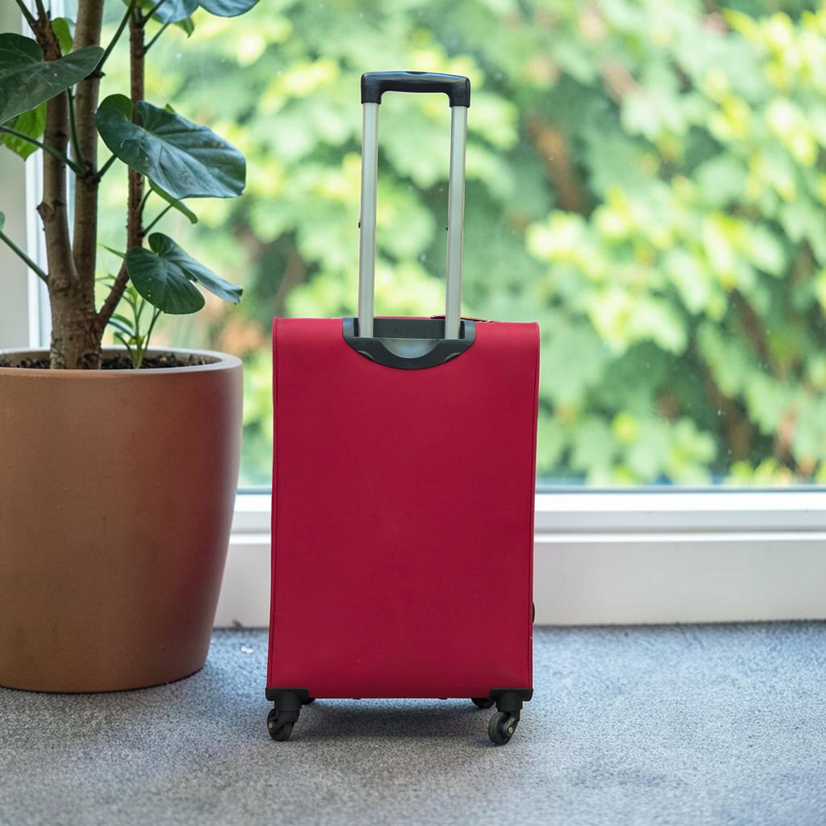 Vip Softside | Basil - 4W